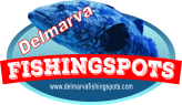 Delmarva Fishing Spots