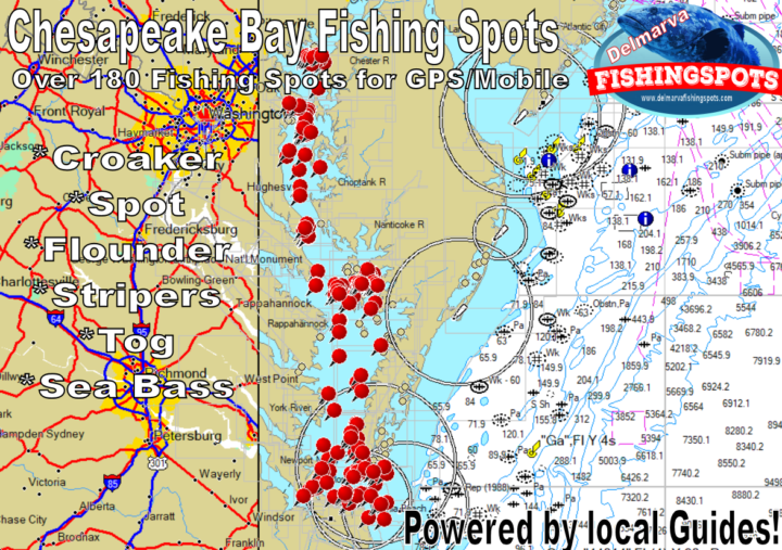 Chesapeake Bay Fishing Spots & GPS Coordinates