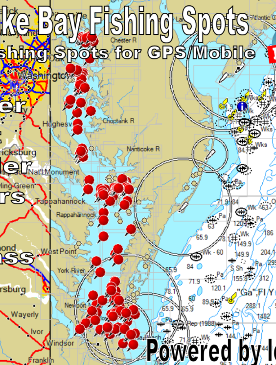 Chesapeake Bay Fishing Spots & GPS Coordinates