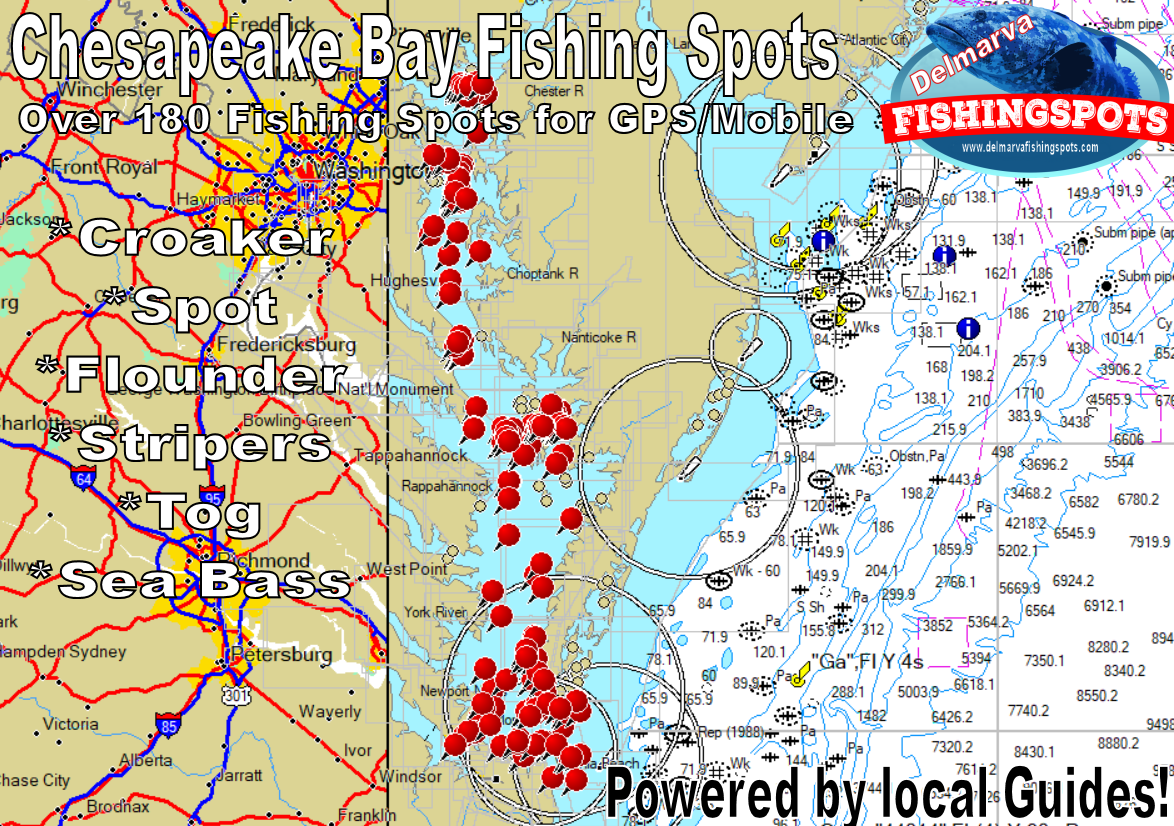 Chesapeake Bay Fishing Spots GPS Map 