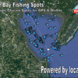 Delaware Bay Fishing Spots - The Top Fishing Spots in the Delaware Bay