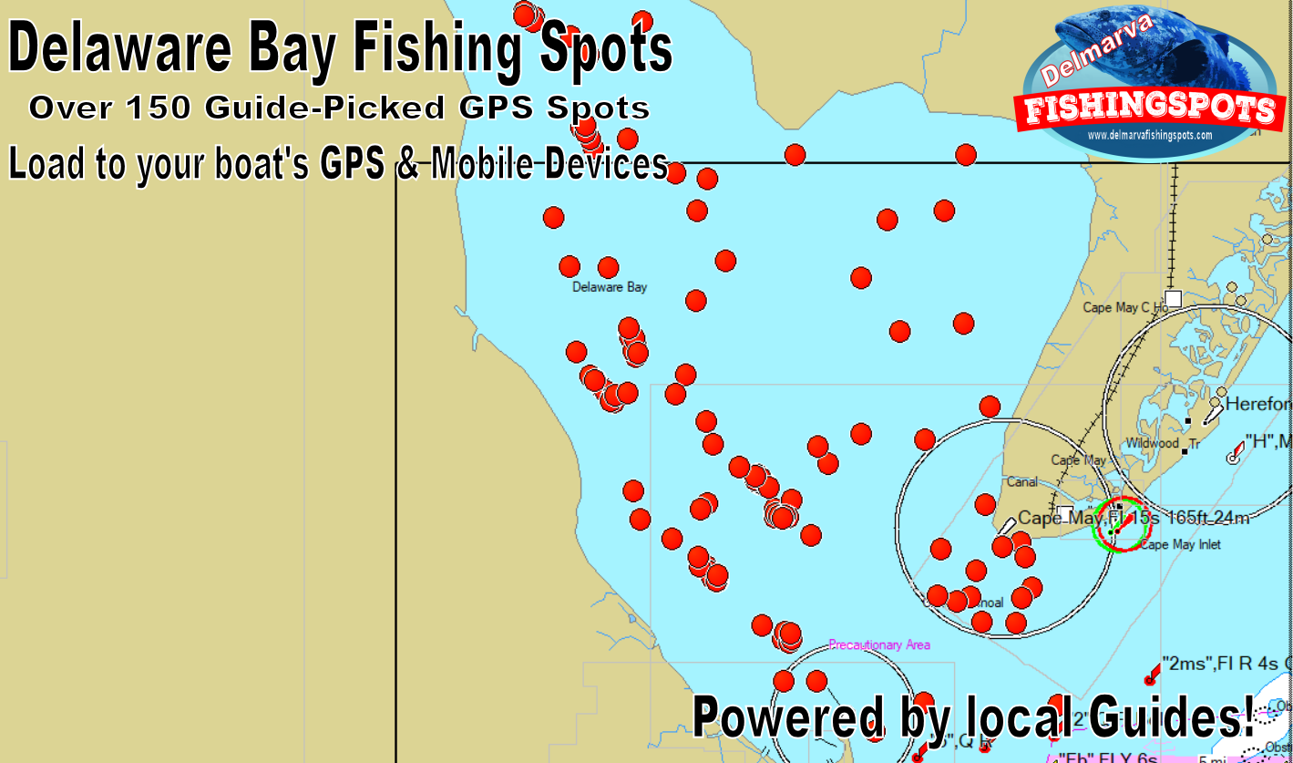 Delaware Bay Fishing Spots GPS Map